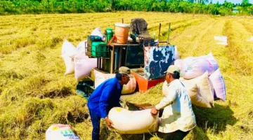 ثبات واسع في مستويات الأسعار وتواصل تراجع القدرة الشرائية للمستهلكين في الأسواق المحلية